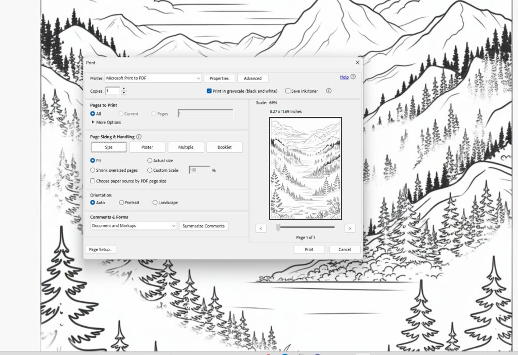 PDF print setup